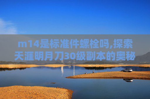 m14是标准件螺栓吗,探索天涯明月刀30级副本的奥秘
