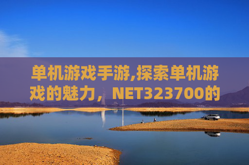 单机游戏手游,探索单机游戏的魅力，NET323700的沉浸式体验