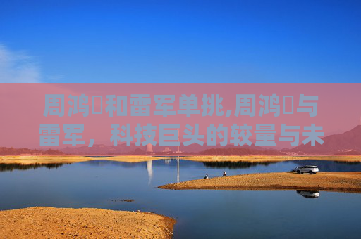 周鸿祎和雷军单挑,周鸿祎与雷军,科技巨头的较量与未来展望