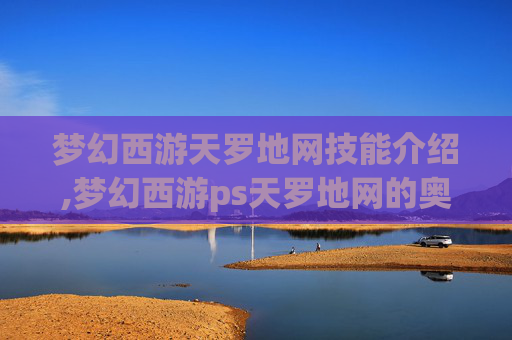 梦幻西游天罗地网技能介绍,梦幻西游ps天罗地网的奥秘与策略 梦幻西游天罗地网技能介绍,梦幻西游ps天罗地网的奥秘与策略