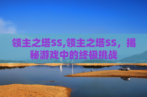 领主之塔SS,领主之塔SS，揭秘游戏中的终极挑战