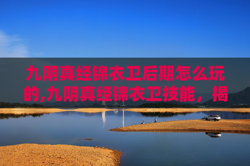 九阴真经锦衣卫后期怎么玩的,九阴真经锦衣卫技能，揭秘武侠世界里的神秘力量