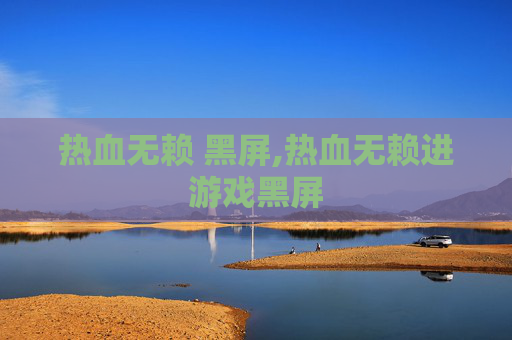 热血无赖 黑屏,热血无赖进游戏黑屏