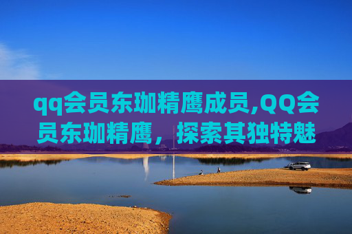 qq会员东珈精鹰成员,QQ会员东珈精鹰,探索其独特魅力与价值