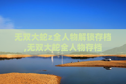 无双大蛇z全人物解锁存档,无双大蛇全人物存档