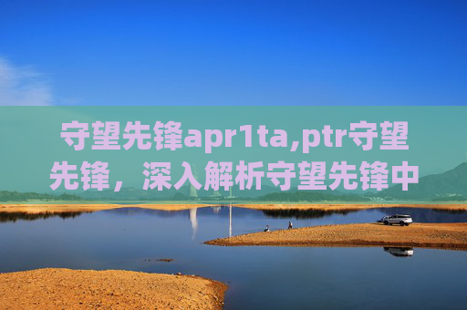 守望先锋apr1ta,ptr守望先锋，深入解析守望先锋中的英雄与战术