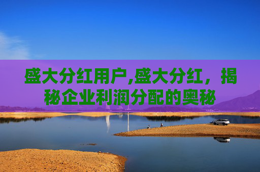 盛大分红用户,盛大分红，揭秘企业利润分配的奥秘