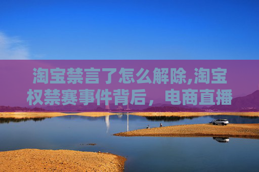 淘宝禁言了怎么解除,淘宝权禁赛事件背后，电商直播的风波与反思