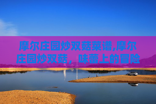 摩尔庄园炒双菇菜谱,摩尔庄园炒双菇，味蕾上的冒险之旅