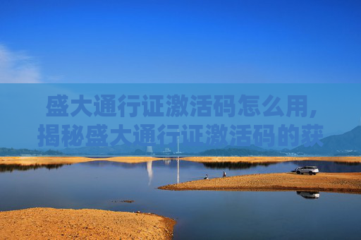 盛大通行证激活码怎么用,揭秘盛大通行证激活码的获取与使用技巧