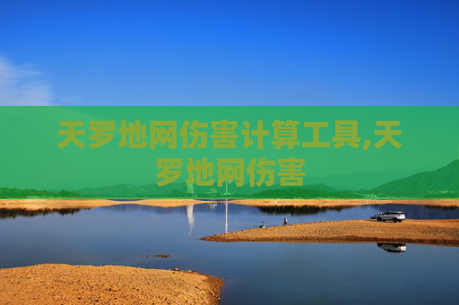 天罗地网伤害计算工具,天罗地网伤害