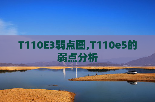 T110E3弱点图,T110e5的弱点分析