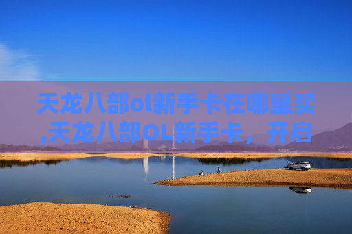 天龙八部ol新手卡在哪里买,天龙八部OL新手卡，开启你的江湖之旅