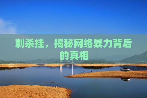 刺杀挂，揭秘网络暴力背后的真相