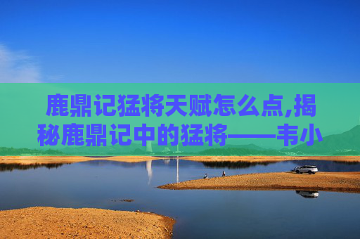 鹿鼎记猛将天赋怎么点,揭秘鹿鼎记中的猛将——韦小宝的忠诚与智谋