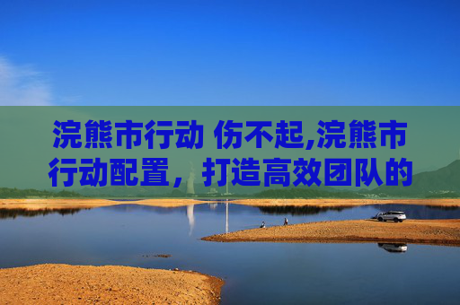 浣熊市行动 伤不起,浣熊市行动配置，打造高效团队的必备策略