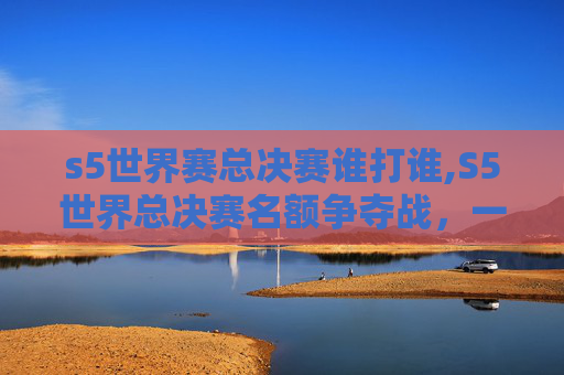 s5世界赛总决赛谁打谁,S5世界总决赛名额争夺战，一场电竞界的巅峰对决