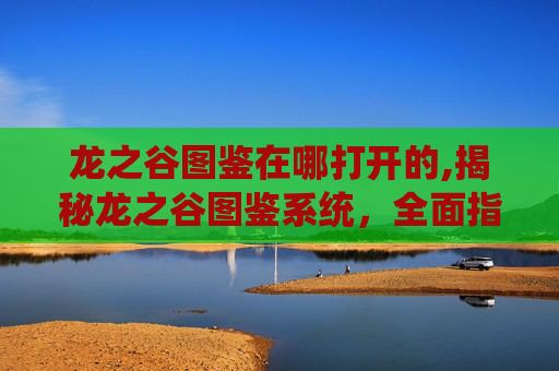 龙之谷图鉴在哪打开的,揭秘龙之谷图鉴系统，全面指南