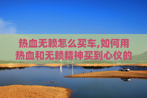 热血无赖怎么买车,如何用热血和无赖精神买到心仪的房子？