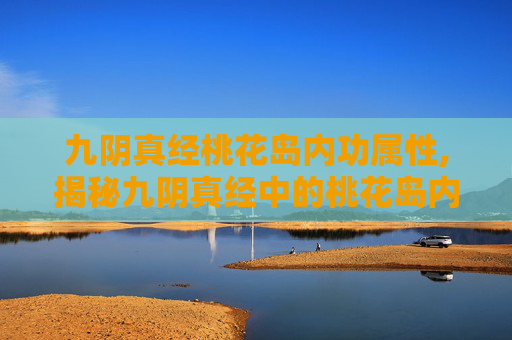 九阴真经桃花岛内功属性,揭秘九阴真经中的桃花岛内功——传承与现代应用