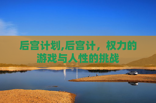 后宫计划,后宫计，权力的游戏与人性的挑战
