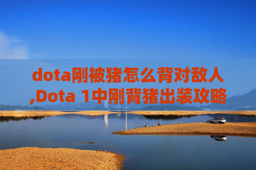 dota刚被猪怎么背对敌人,Dota 1中刚背猪出装攻略