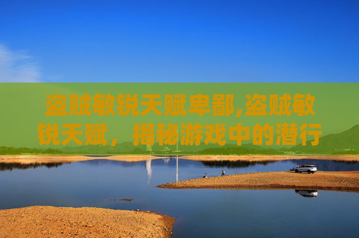 盗贼敏锐天赋卑鄙,盗贼敏锐天赋,揭秘游戏中的潜行大师