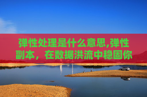 弹性处理是什么意思,弹性副本，在数据洪流中稳固你的数据堡垒