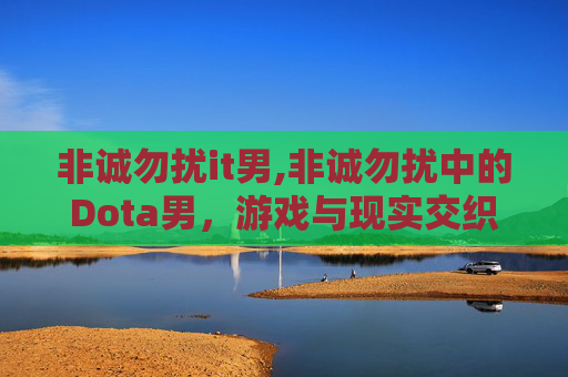 非诚勿扰it男,非诚勿扰中的Dota男,游戏与现实交织的浪漫 非诚勿扰it男,非诚勿扰中的Dota男,游戏与现实交织的浪漫
