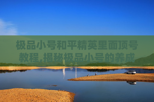 极品小号和平精英里面顶号教程,揭秘极品小号的养成之路