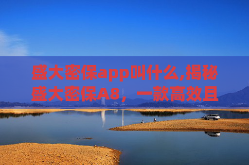 盛大密保app叫什么,揭秘盛大密保A8，一款高效且安全的密码管理工具
