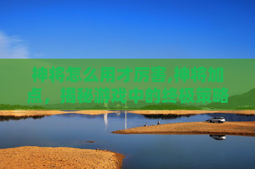 神将怎么用才厉害,神将加点,揭秘游戏中的终极策略 神将怎么用才厉害,神将加点,揭秘游戏中的终极策略