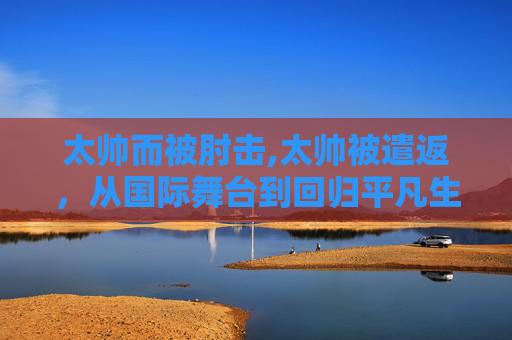 太帅而被肘击,太帅被遣返，从国际舞台到回归平凡生活