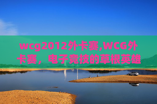 wcg2012外卡赛,WCG外卡赛,电子竞技的草根英雄与传奇诞生 wcg2012外卡赛,WCG外卡赛,电子竞技的草根英雄与传奇诞生