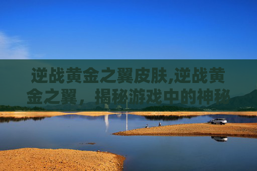 逆战黄金之翼皮肤,逆战黄金之翼，揭秘游戏中的神秘力量
