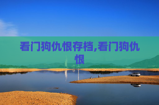 看门狗仇恨存档,看门狗仇恨