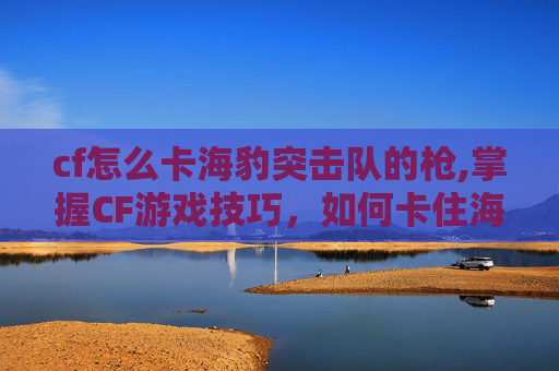 cf怎么卡海豹突击队的枪,掌握CF游戏技巧,如何卡住海豹突击队 cf怎么卡海豹突击队的枪,掌握CF游戏技巧,如何卡住海豹突击队