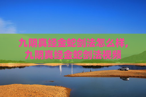 九阴真经金蛇剑法怎么样,九阴真经金蛇剑法视频