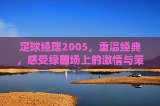 足球经理2005，重温经典，感受绿茵场上的激情与策略