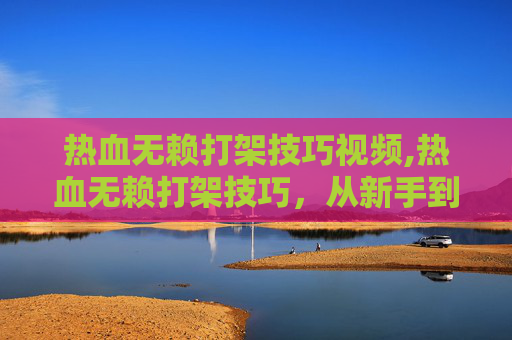 热血无赖打架技巧视频,热血无赖打架技巧，从新手到高手的必修课