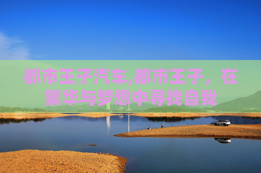都市王子汽车,都市王子，在繁华与梦想中寻找自我