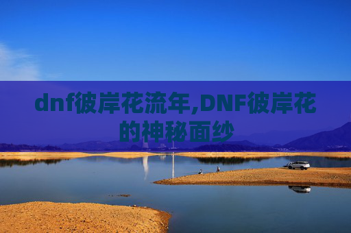 dnf彼岸花流年,DNF彼岸花的神秘面纱