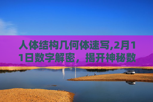 人体结构几何体速写,2月11日数字解密,揭开神秘数字背后的奥秘 人体结构几何体速写,2月11日数字解密,揭开神秘数字背后的奥秘