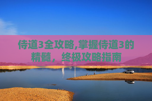 侍道3全攻略,掌握侍道3的精髓,终极攻略指南 侍道3全攻略,掌握侍道3的精髓,终极攻略指南