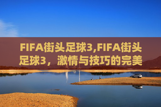 FIFA街头足球3,FIFA街头足球3,激情与技巧的完美融合 FIFA街头足球3,FIFA街头足球3,激情与技巧的完美融合