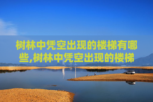 树林中凭空出现的楼梯有哪些,树林中凭空出现的楼梯 树林中凭空出现的楼梯有哪些,树林中凭空出现的楼梯