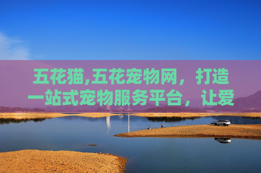 五花猫,五花宠物网，打造一站式宠物服务平台，让爱宠生活更加美好