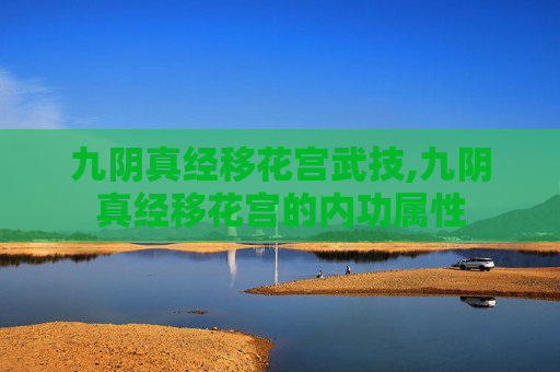 九阴真经移花宫武技,九阴真经移花宫的内功属性
