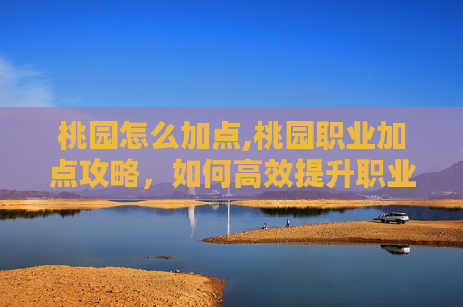 桃园怎么加点,桃园职业加点攻略,如何高效提升职业技能 桃园怎么加点,桃园职业加点攻略,如何高效提升职业技能