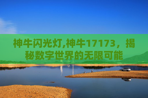 神牛闪光灯,神牛17173,揭秘数字世界的无限可能 神牛闪光灯,神牛17173,揭秘数字世界的无限可能